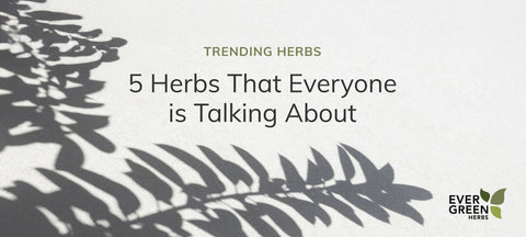 Revitalize Naturally: 5 Herbs Everyone’s Talking About in 2025