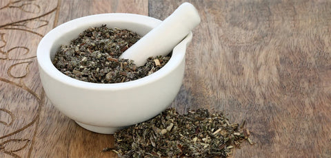 Top 5 Benefits of Mugwort (Estafiate)