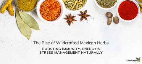 The Rise of Wildcrafted Mexican Herbs: Boosting Immunity, Energy & Stress Management Naturally