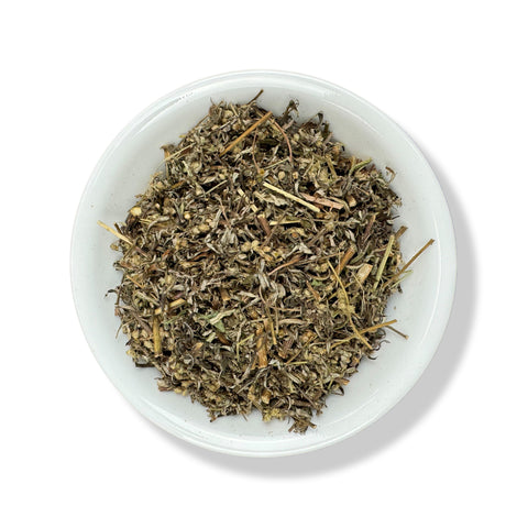 Mugwort (Estafiate)
