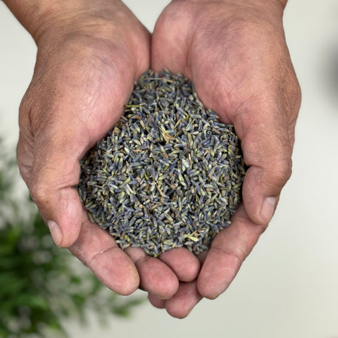 Lavender Flowers