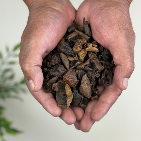 Black Walnut Hulls (Cascara De Nogal) - 10 lbs.