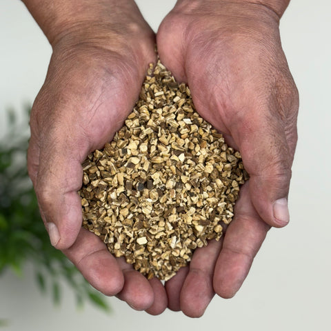 Dandelion Root (Raiz De Diente De Leon)