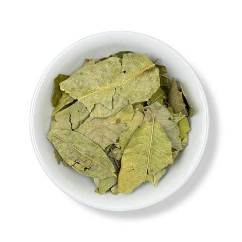 A bowl filled with dried leaves of Zapote Blanco (White Sapote) against a white background.