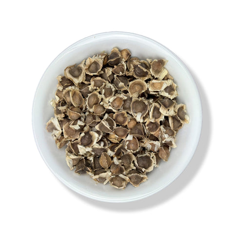 Moringa Seeds