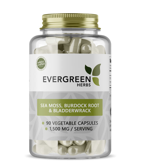 A bottle of Evergreen Herbs brand dietary supplements, containing Sea Moss, Burdock Root & Bladderwrack capsules.
