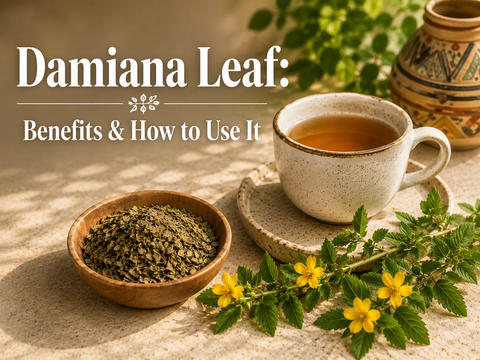 Benefits of Using Damiana Leaves and How to Use it