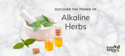 Discover the Power of Alkaline Herbs