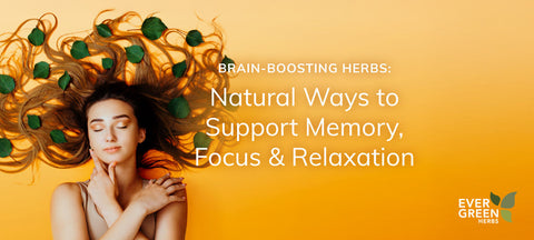 Brain-Boosting Herbs: Natural Ways to Support Memory, Focus, and Relaxation