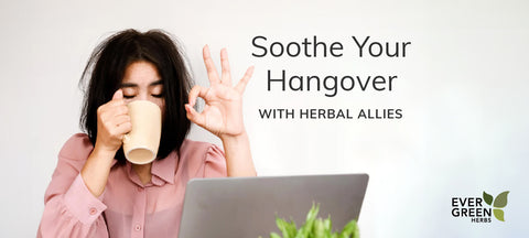 Natural Hangover Remedies: Soothe Your Symptoms with Herbal Allies