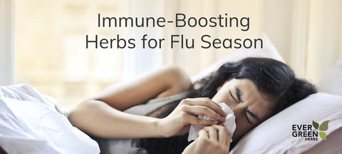 Stay Healthy This Cold and Flu Season with Evergreen Herbs’ Immune-Boosting Products