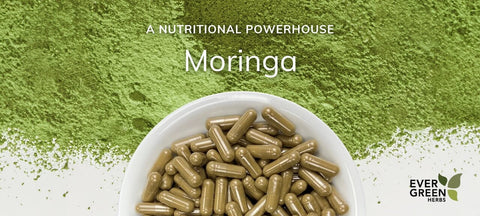 Moringa: A Nutritional Powerhouse