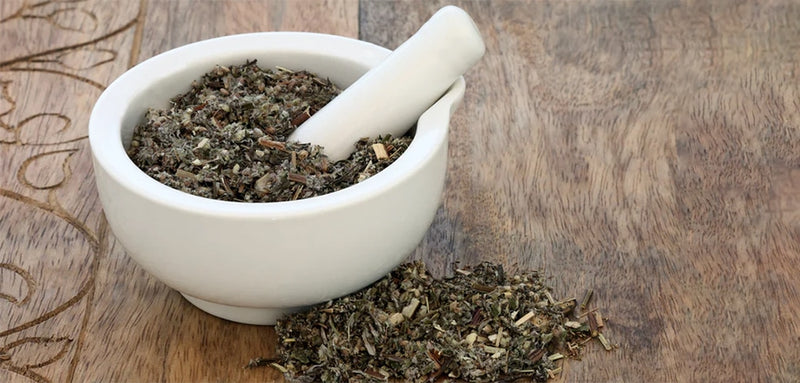 Top 5 Benefits of Mugwort (Estafiate)