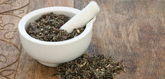 Top 5 Benefits of Mugwort (Estafiate)