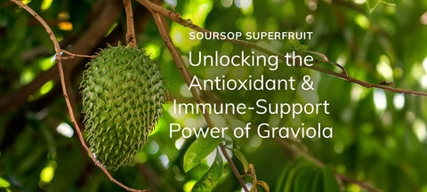 Soursop Superfruit: Unlocking the Antioxidant & Immune-Support Power of Graviola