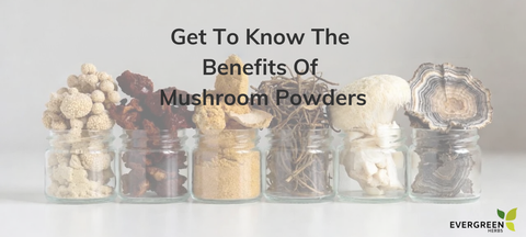 The Benefits of Mushroom Powders