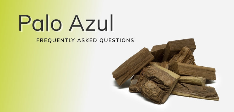 Top FAQs on the Popular Herb, Palo Azul