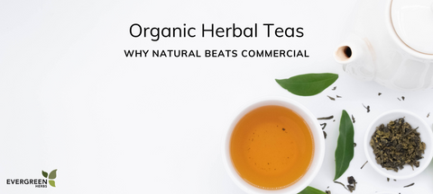 Organic Herbal Teas: Why Natural Beats Commercial