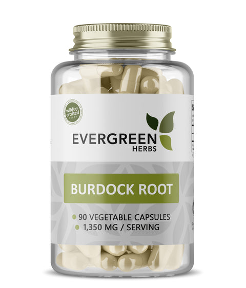Burdock Root Capsules - 90 Capsules (450 mg.)