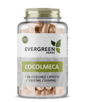 A bottle of Evergreen Herbs Cocolmeca capsules with 90 vegetable capsules
