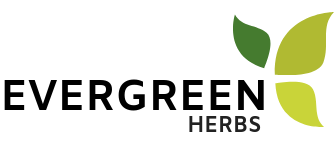 Evergreen Herbs logo: Wild crafted herbs from Mexico. 