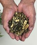 Set of hands holding dried Muicle (Honeysuckle) herb pieces.