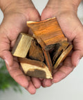 Hands holding dried Palo Brazil wood chunks 