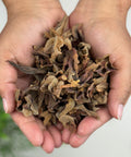 Pair of hands holding dried herbal leaves and flowers