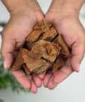 A pair of hands containing dried pieces of Cocolmeca bark.