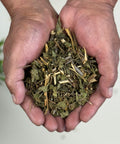 Pair of hands with dried herb leaves and stems