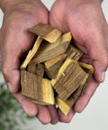 Hands holding dried Eysenhardtia polystachya, also known as Palo Azul, kidney-shaped herb pieces.