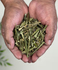 A pair of hands with dried olive leaf pieces.