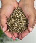 Pair of hands holding cut and sifted Burdock Root.