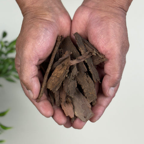 Tepezcohuite Tree Bark