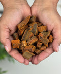 Hands holding dried cinchona bark pieces.