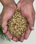 Hands holding cut and sifted dandelion root pieces.