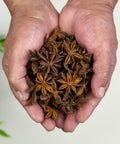 Hands holding star-shaped aniseed spices.