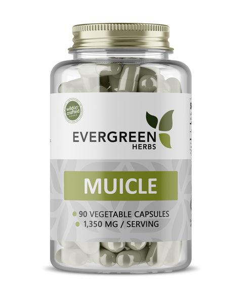 Muicle Capsules (Honeysuckle) - 90 Capsules - 450 mg