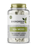 A bottle of Evergreen Herbs Sea Moss capsules, containing 90 vegetable capsules with a label indicating 1,800 mg per serving.