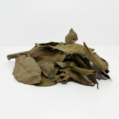 Soursop Leaves (2 oz.)