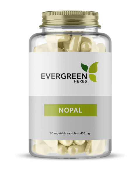 Nopal Capsules (Prickly Pear) - 90 Capsules - 450 mg.