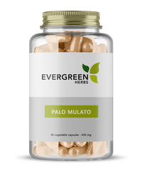 Palo Mulato Capsules - 90 Capsules - 450 mg.