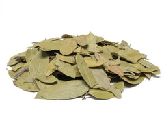 Pinguica Hoja - Mexican Uva Ursi